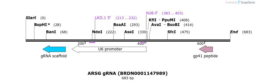 150393_map