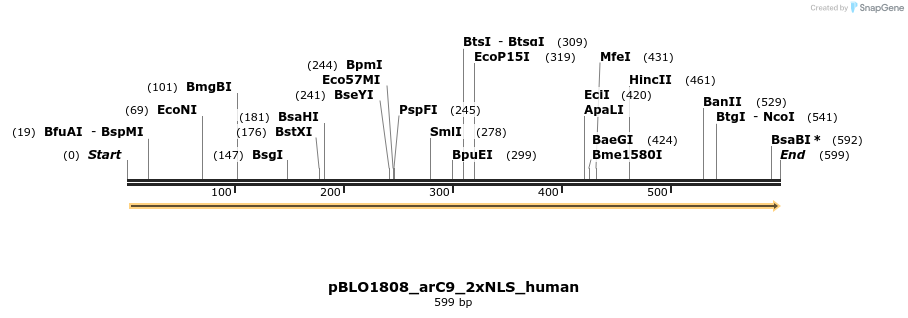 150394_map