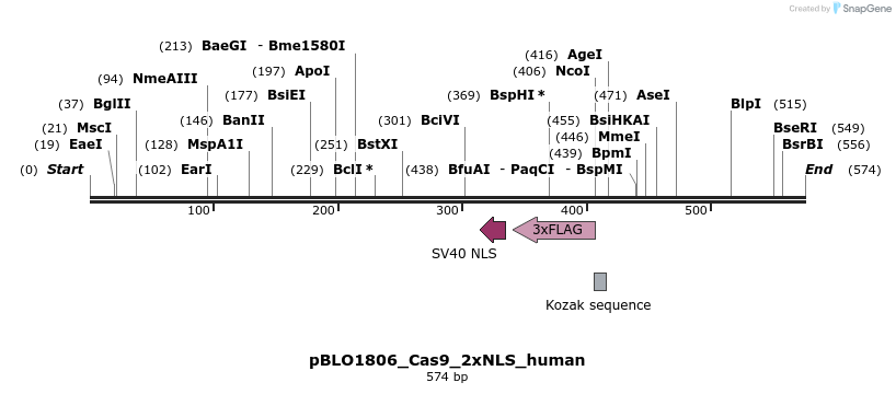 150395_map