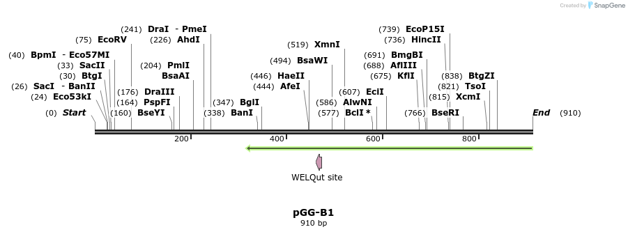 150396_map