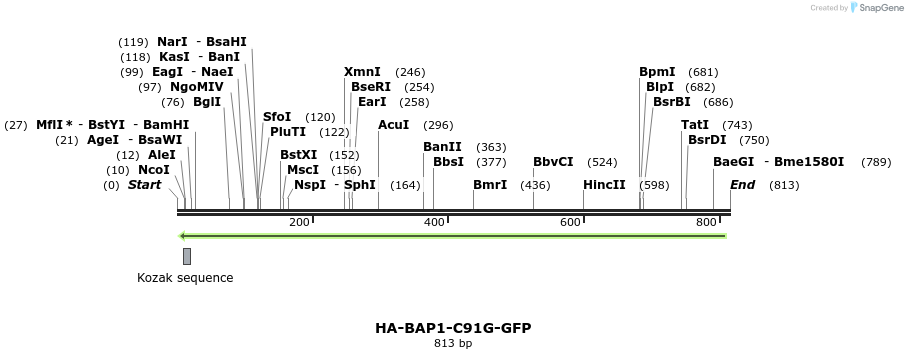 150401_map