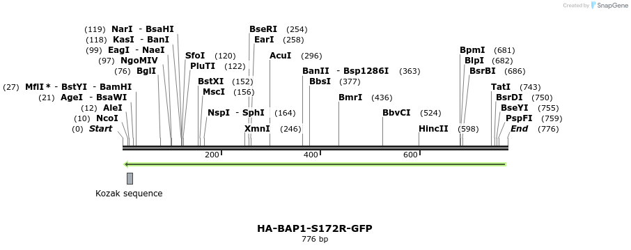 150405_map