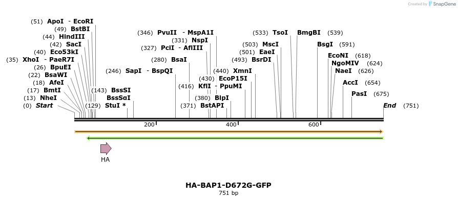 150406_map
