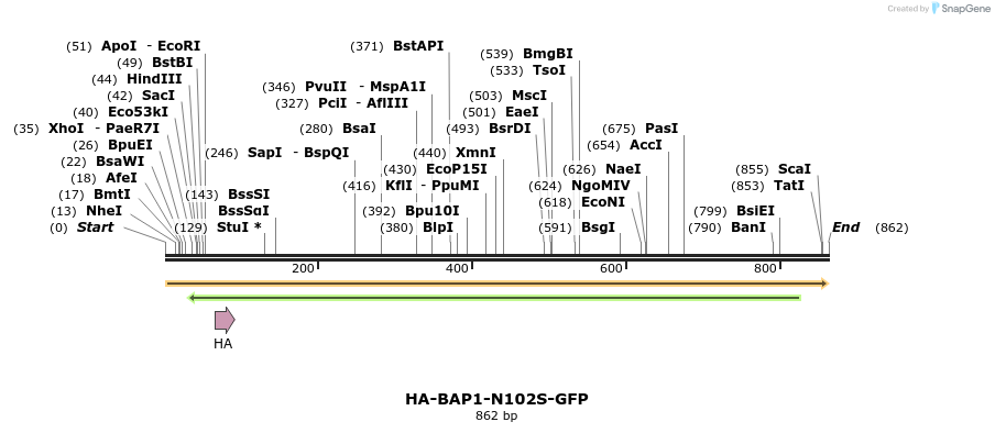 150411_map