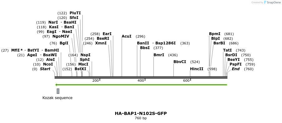150412_map