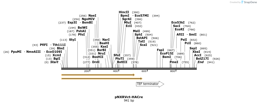 150414_map