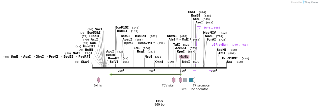 150428_map