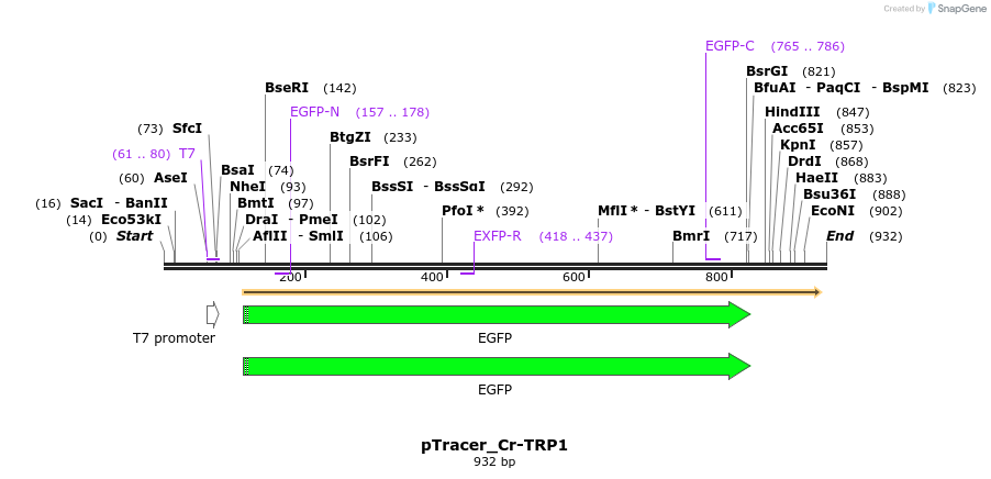 150429_map