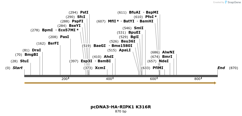 150434_map
