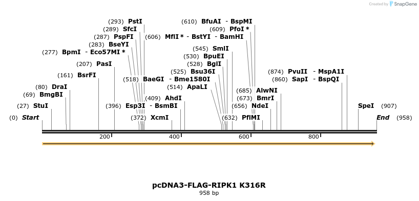 150435_map