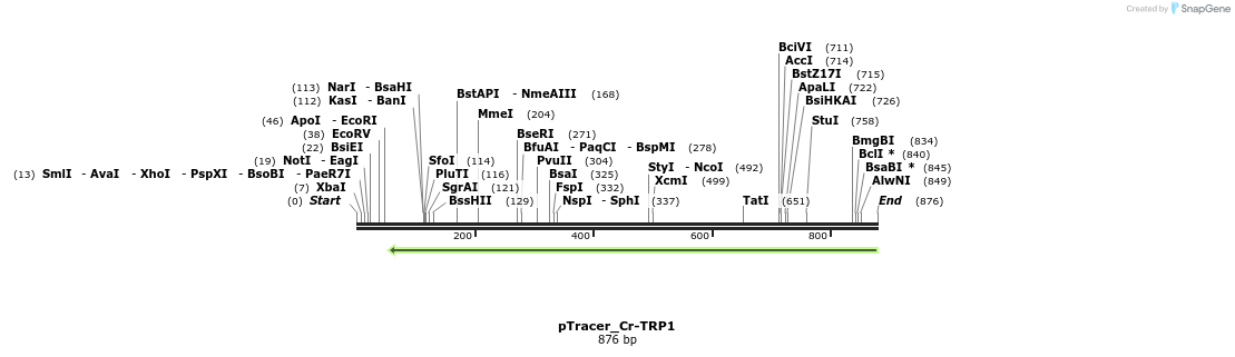 150437_map