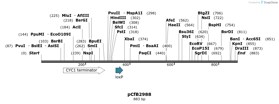 150439_map