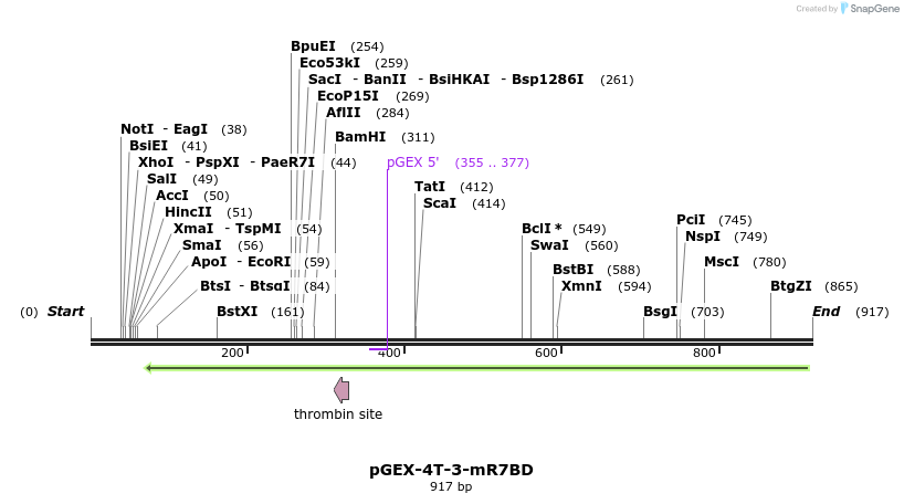 150447_map