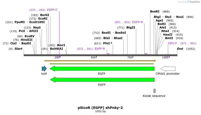 150451_map