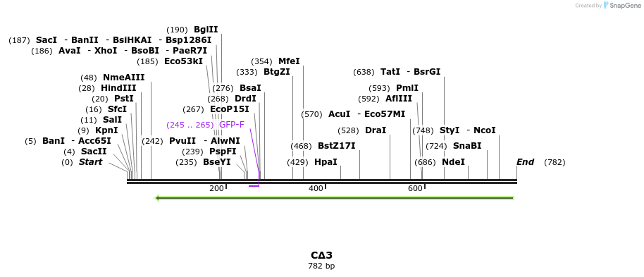 150481_map