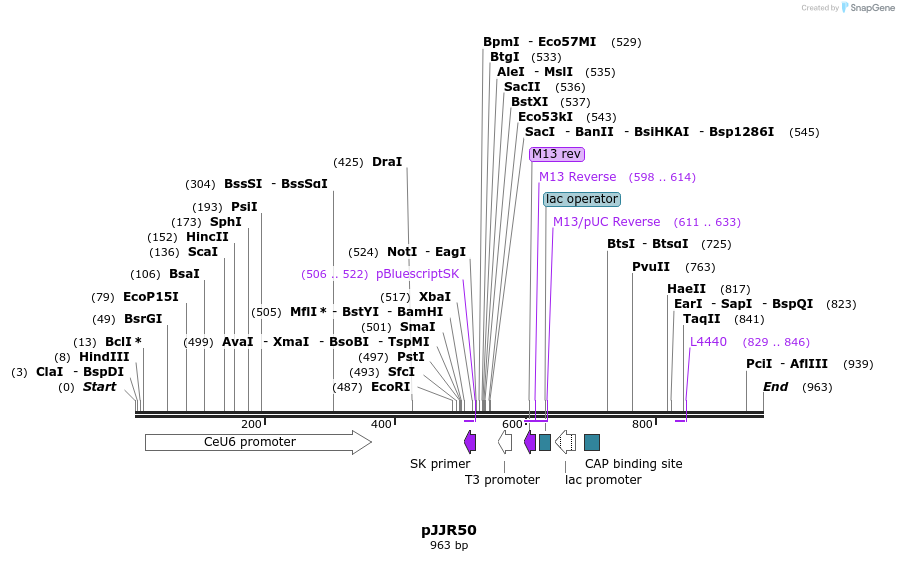 150482_map