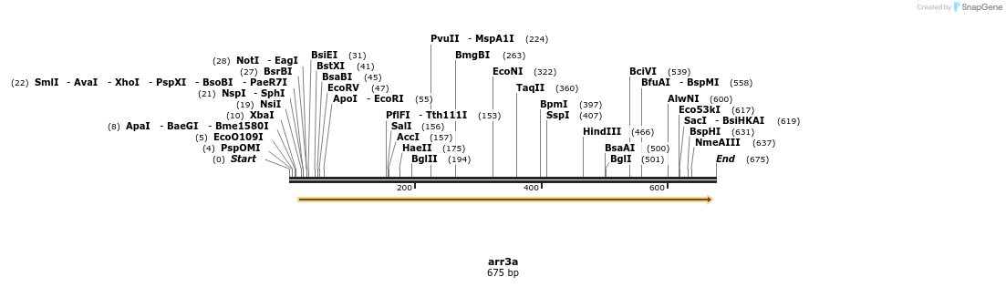 150489_map