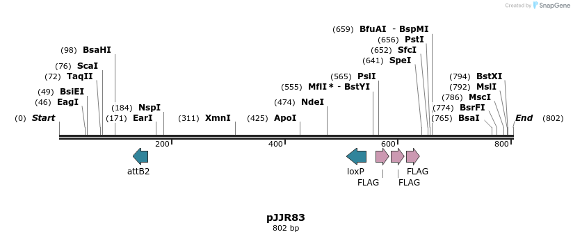 150494_map