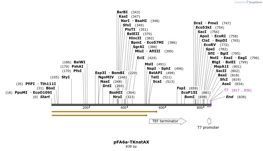 150495_map