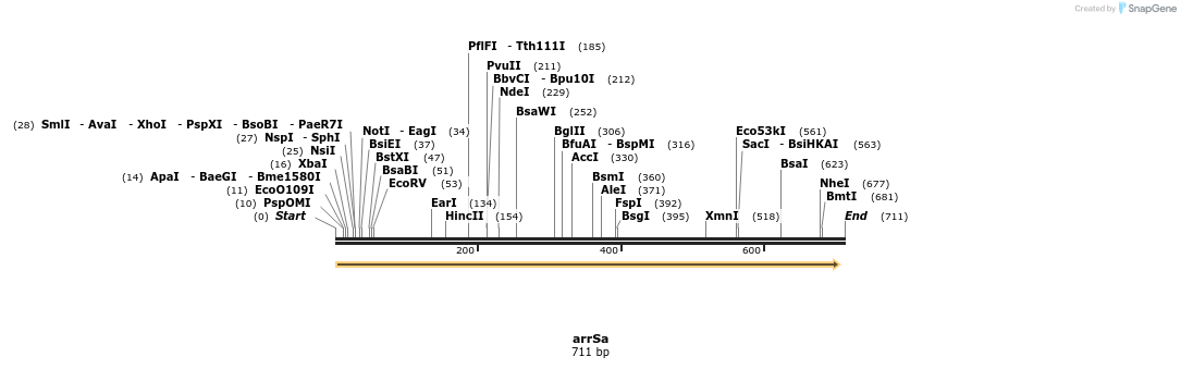 150496_map