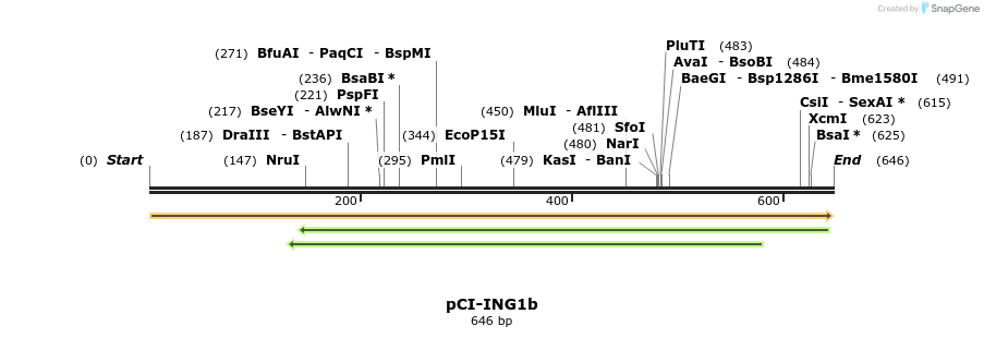 150499_map
