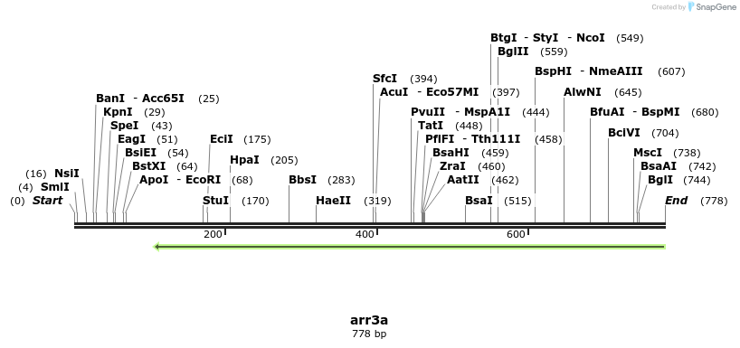 150509_map