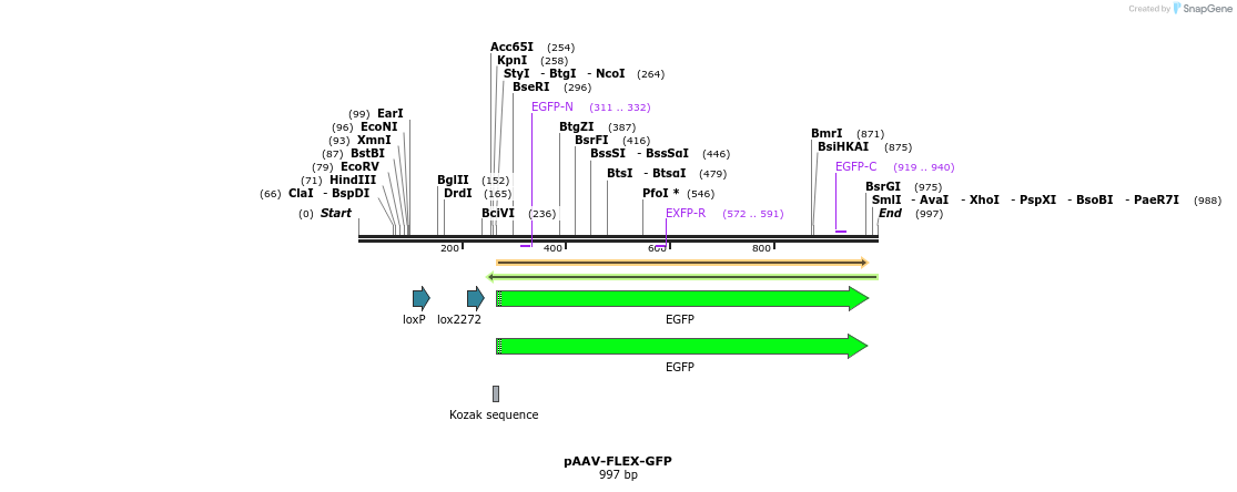 150512_map