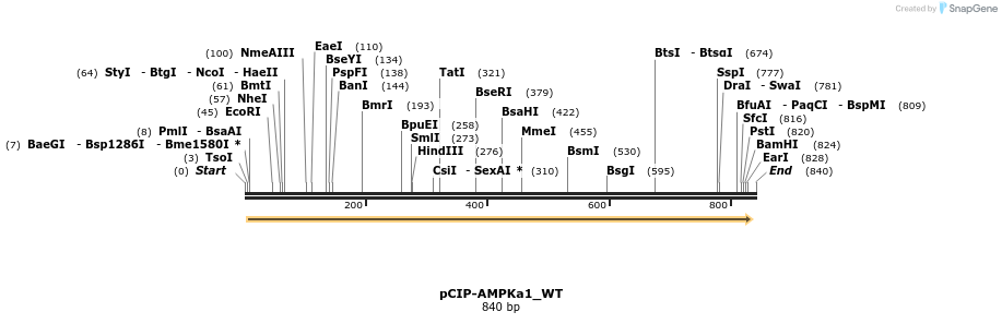 150526_map