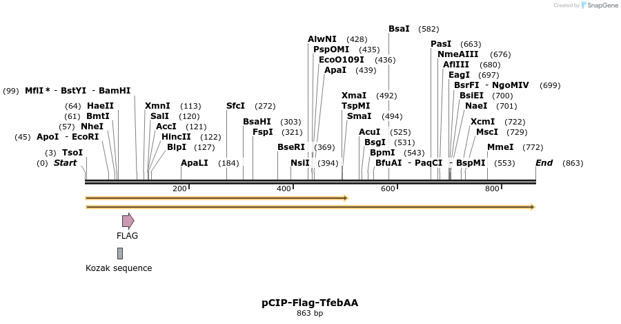 150542_map