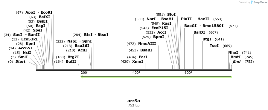 150546_map