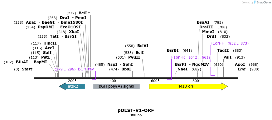 150555_map
