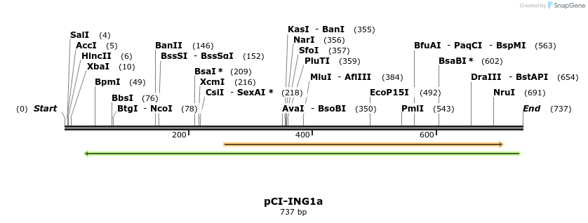 150556_map