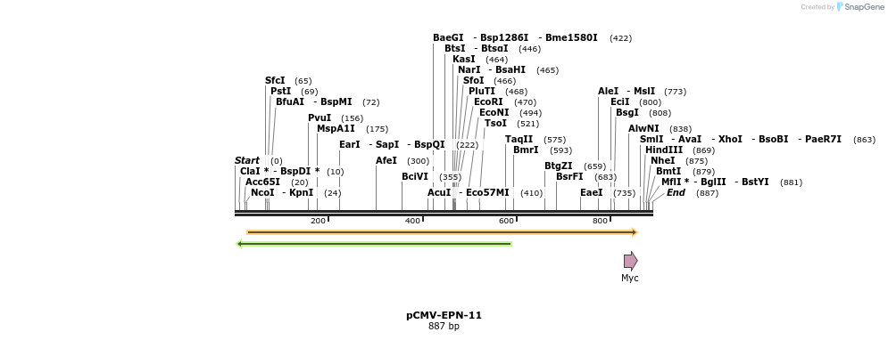 150557_map