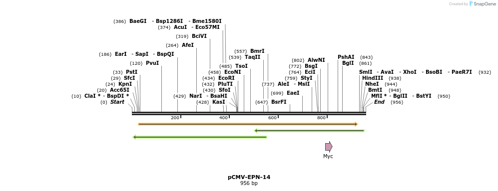150560_map