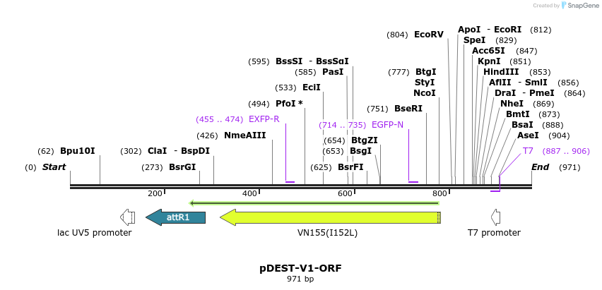 150561_map