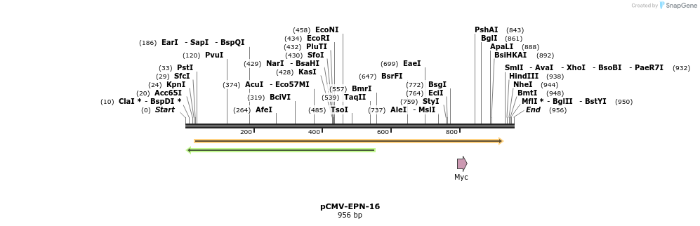 150564_map