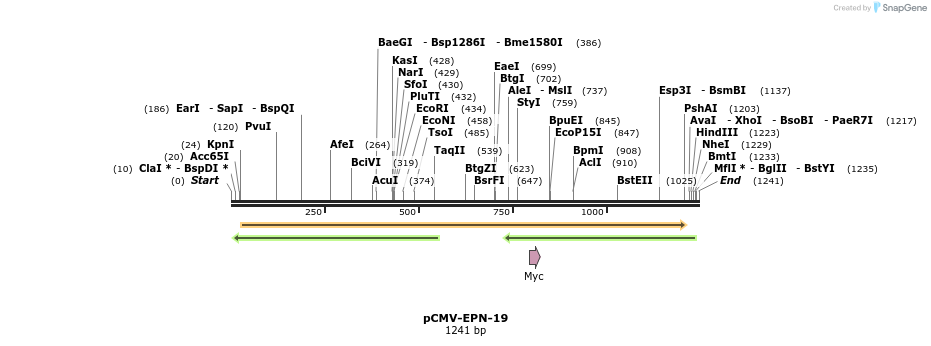 150568_map