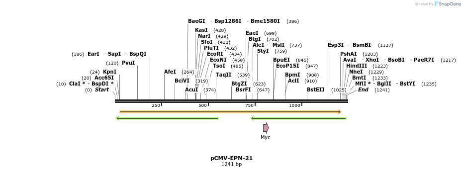 150571_map