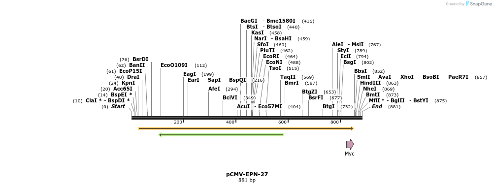 150577_map
