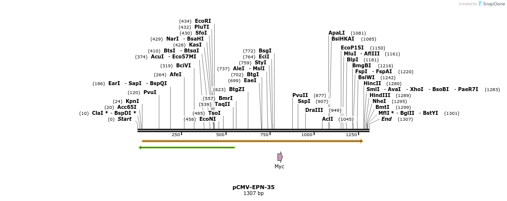 150585_map