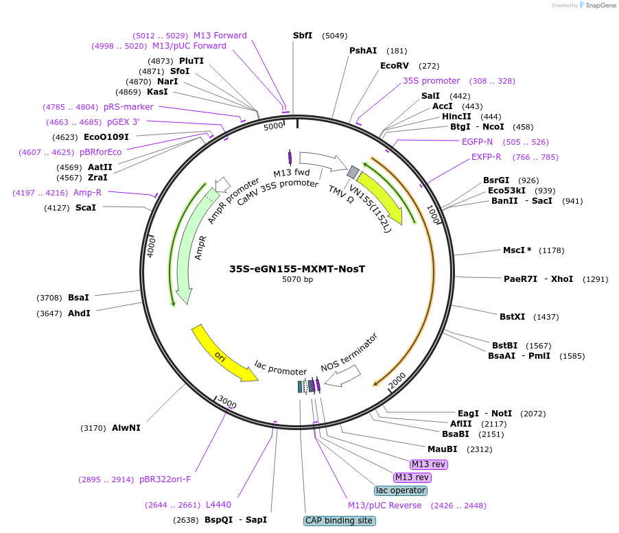 150626_map