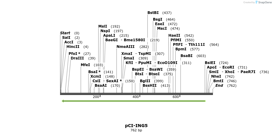 150631_map