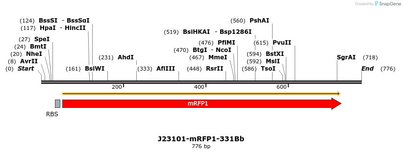 150636_map