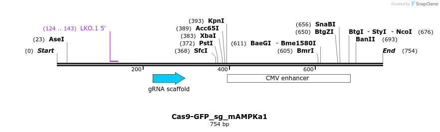 150643_map