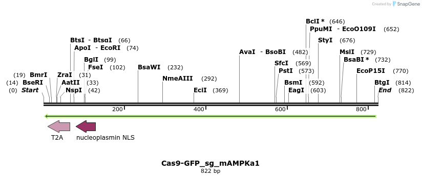 150644_map