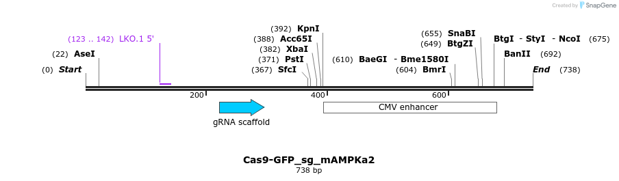 150645_map
