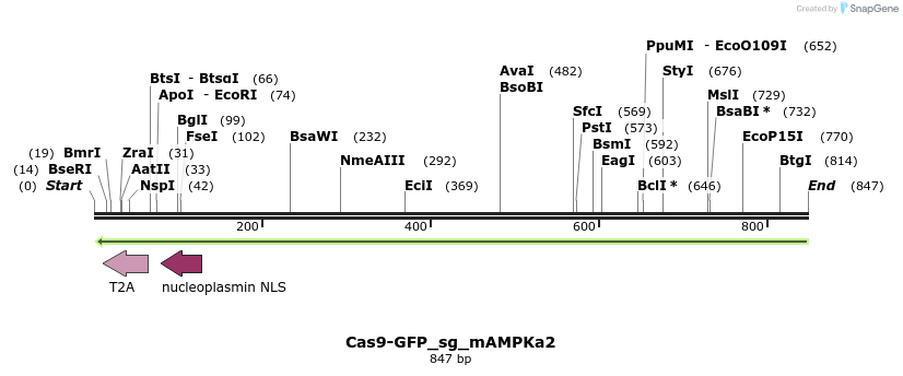150646_map