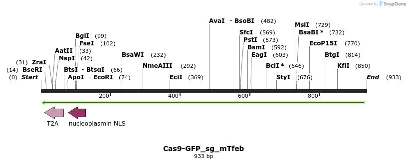 150649_map