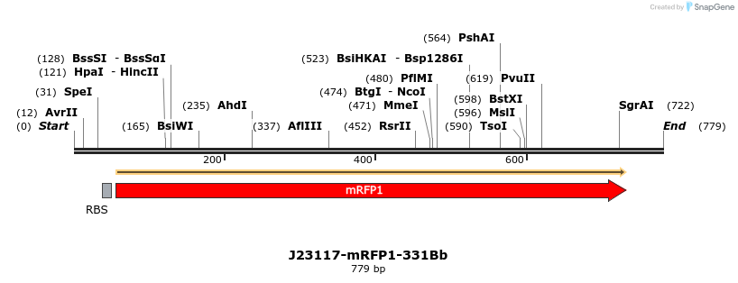 150652_map