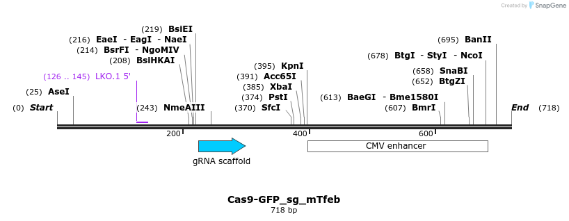 150653_map